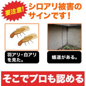 18(15+3)個 シロアリ駆除 ベイトタイプ...の詳細画像2