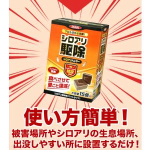 18(15+3)個 シロアリ駆除 ベイトタイプ...の詳細画像3