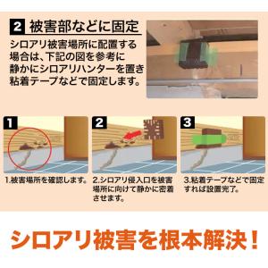 18(15+3)個 シロアリ駆除 ベイトタイプ...の詳細画像5