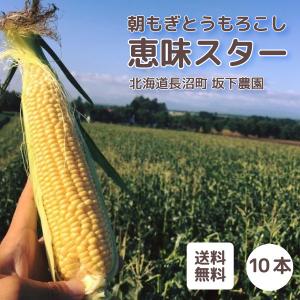 【送料無料】【即発送】北海道長沼町 馬追山麓 とびっきり甘い 朝もぎとうもろこし 恵味スター 10本セット 北海道産 とうきび 家庭用 ギフト お取り寄せ