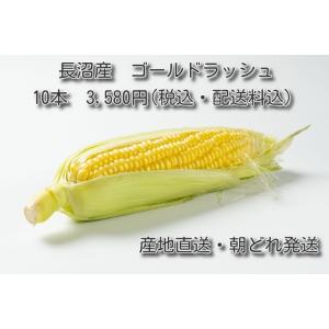 【送料無料】北海道長沼町 とびっきり甘い 朝もぎとうもろこし ゴールドラッシュ 10本セット 北海道産 とうきび 家庭用 おためし ギフト お取り寄せ