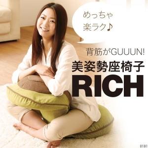 洗える 座椅子 骨盤 ストレッチ 腰痛 姿勢 補正 背筋がGUUUN美姿勢座椅子リッチ コーヒーブラウン｜maone