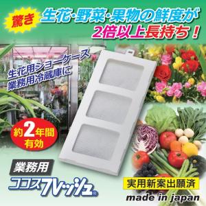 活性炭 冷蔵庫 野菜 鮮度 ココスフレッシュ業務用｜maone