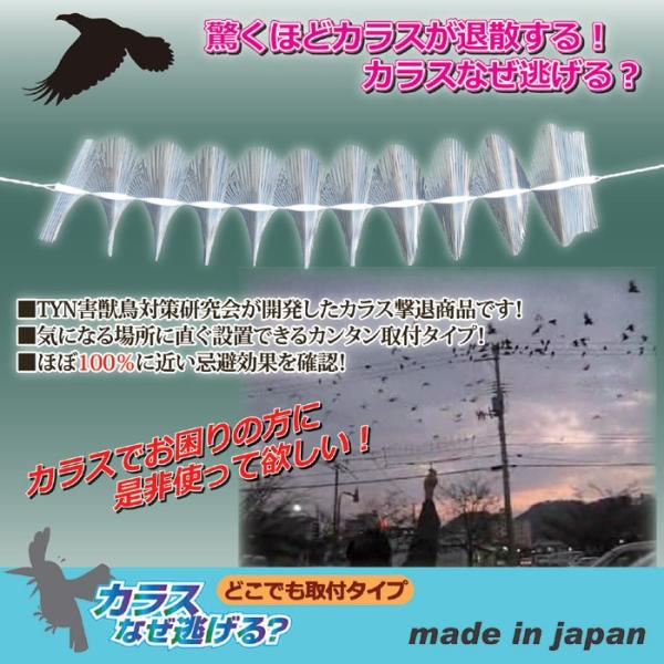 カラス なぜ逃げる どこでも取付タイプ 撃退