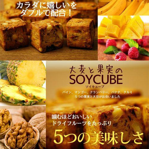 食品 栄養補助 健康 大豆 大麦と果実のソイキューブ