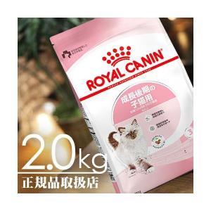 ロイヤルカナン（ROYAL CANIN） キトン フィーライン ヘルス ニュートリション 生後12ヶ月齢まで 2kg