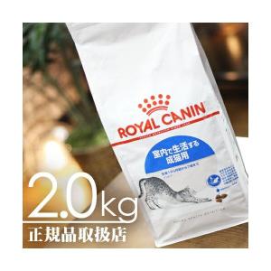 ロイヤルカナン（ROYAL CANIN）インドア フィーライン