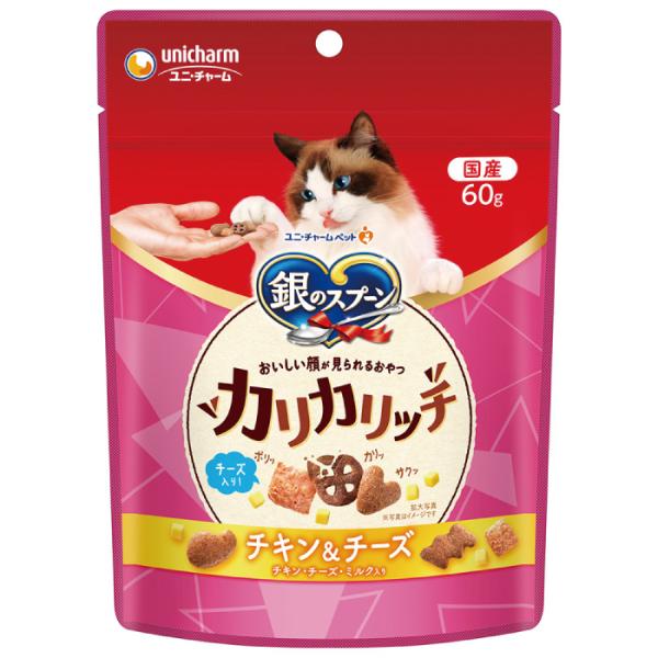 銀のスプーン おいしい顔が見られるおやつ カリカリッチ チキン＆チーズ 60g