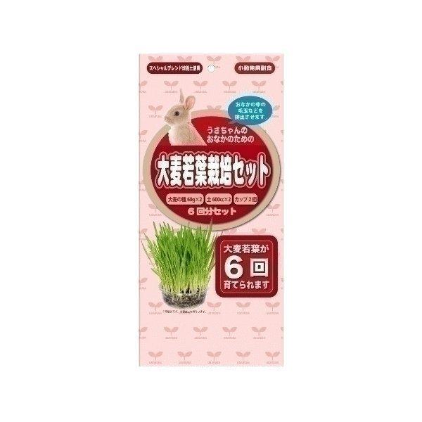 うさちゃん用大麦若葉栽培セット6回分