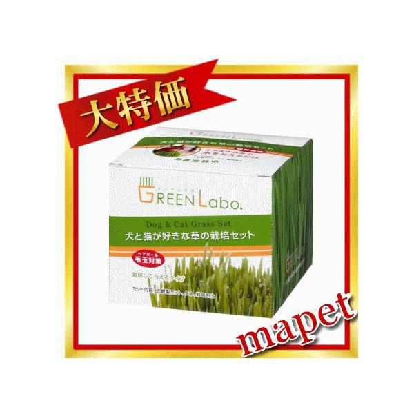 犬と猫が好きな草栽培用セット（PETGRASS）