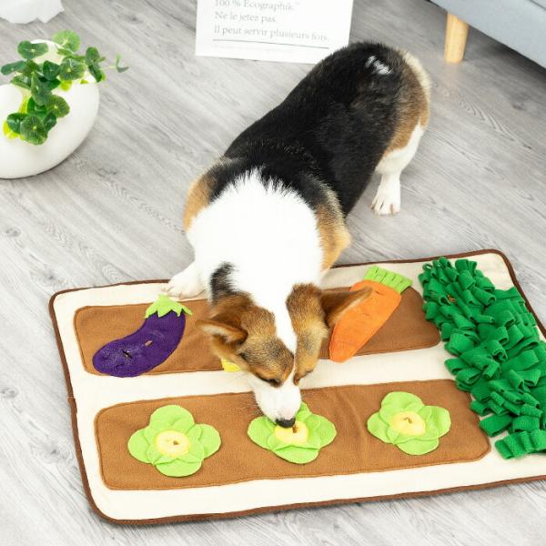 探犬マット 野菜畑