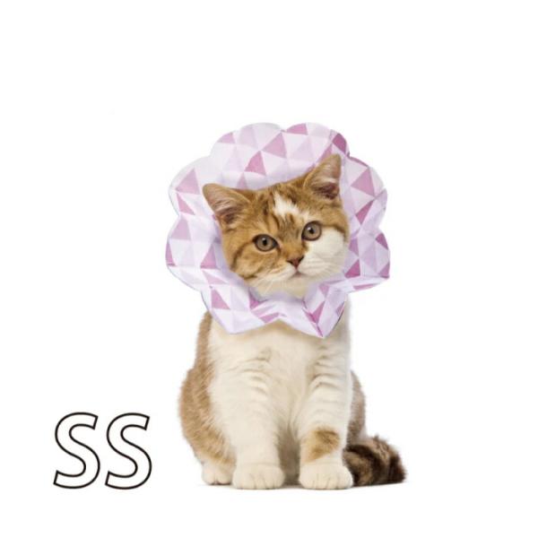 コンパクト エリザベスカラー エリコSS