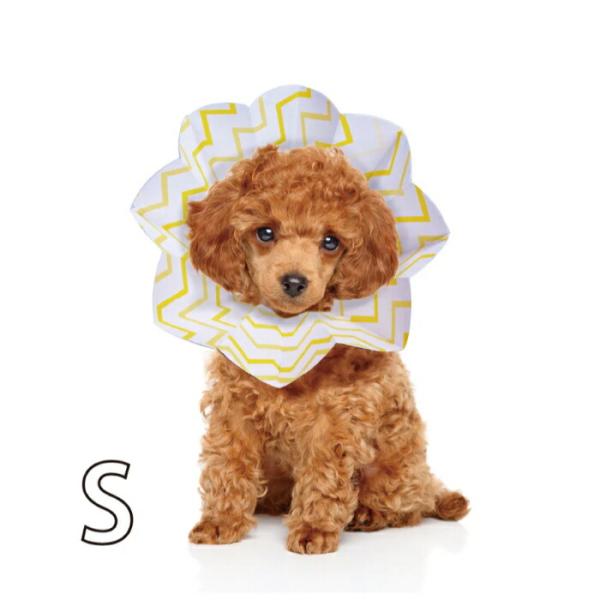 コンパクト エリザベスカラー エリコS