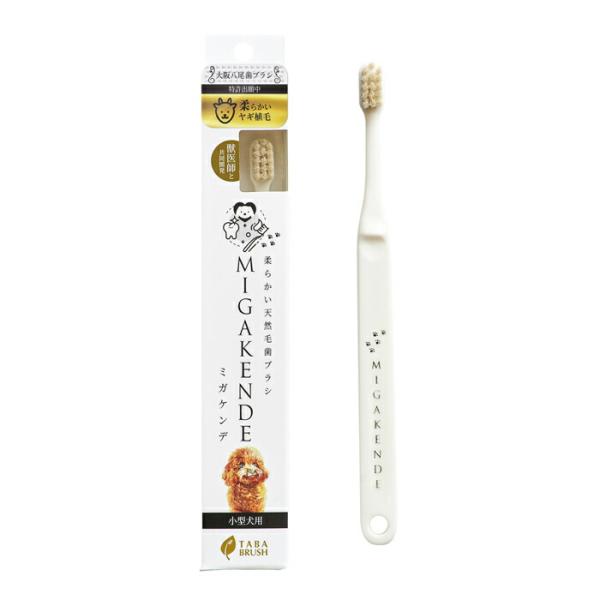 ミガケンデ 天然毛歯ブラシ 柔らかい植毛 ヤギ