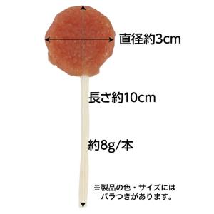 ペティオ ささみポップ 1本入の詳細画像5