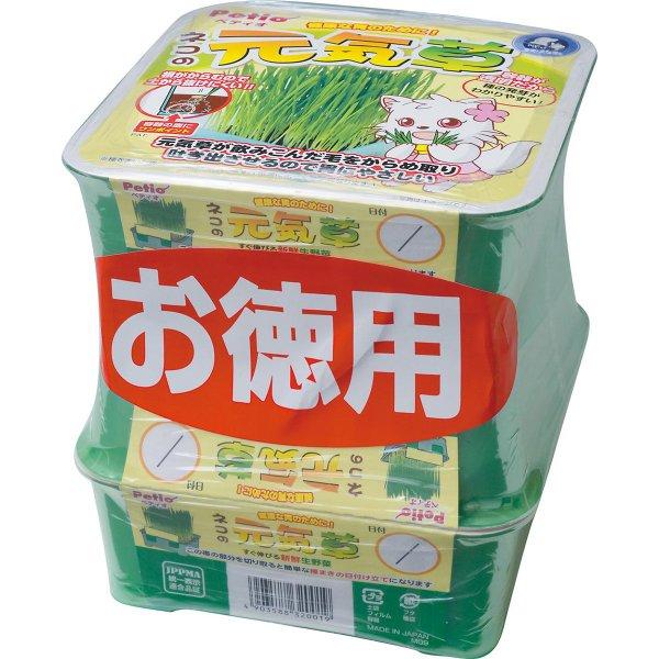 ペティオ ネコの元気草 3Ｐ