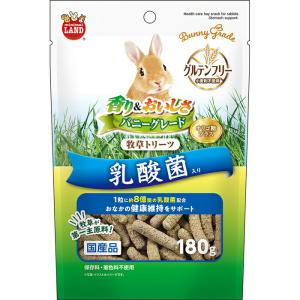 牧草市場 カナダ産プレミアムチモシー1番刈り牧草 500g（うさぎ