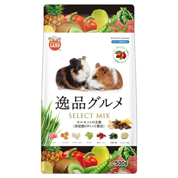 マルカン モルモットの主食 逸品グルメ 500g