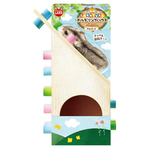 ハムスター カーニバル ボルダリング ハウス