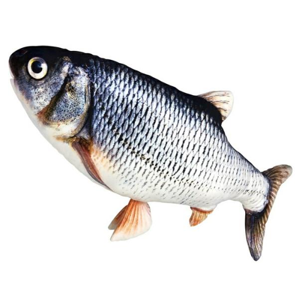 BIG ウグイ
