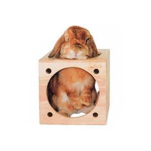 KAWAI（カワイ）キューブハウス【tt-f2】