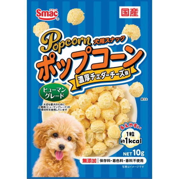 ポップコーン 濃厚 チェダーチーズ味 10g