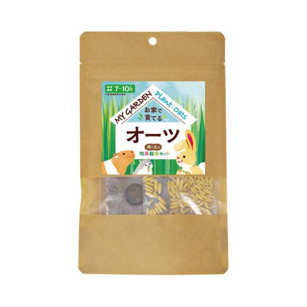 マイガーデン 牧草栽培セット オーツ