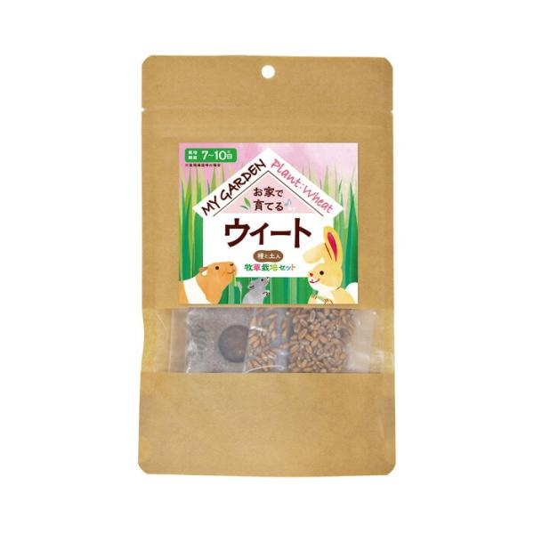 マイガーデン 牧草栽培セット ウィート