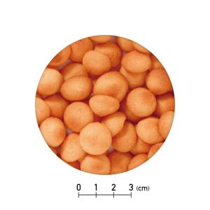 もぐもぐセレクション サクッきー にんじん 14gの詳細画像1