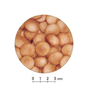 もぐもぐセレクション サクッきー いちご 14...の詳細画像1