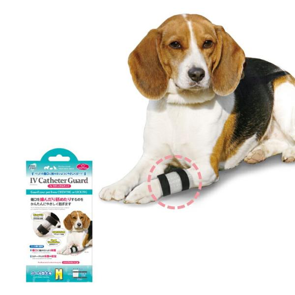 ペットの傷口に触れないようにやさしくガード IV カテーテルガード M 小型犬 中型犬 介護 手術 ...
