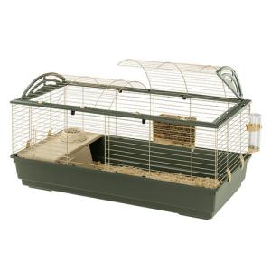 チャーム（charm） 初めてのハリネズミ飼育セット : チャーム charm