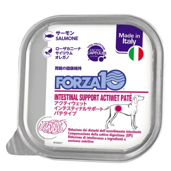 FORZA10（フォルツァ10） インテスティナルアクティウェット 100g （犬用）