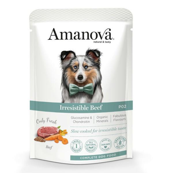 アマノバ（Amanova） パウチ アダルト イレジスタブル ビーフ 100g 【tt-kp】