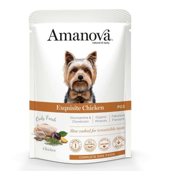 アマノバ（Amanova） パウチ アダルト エクスクイジット チキン 100g 【tt-kp】