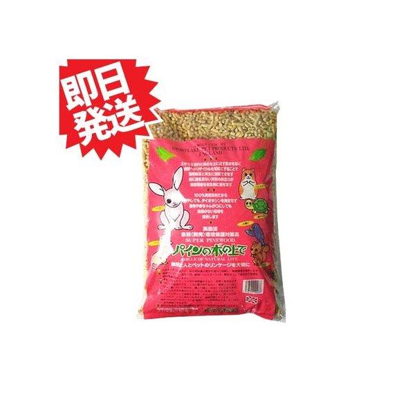 パインの木の上で 6Ｌ《在庫一掃セール》【sg-kp】