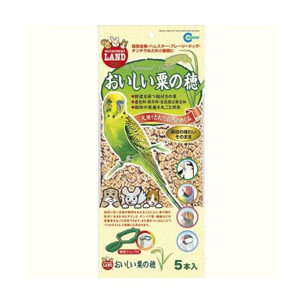 おいしい粟の穂 5本