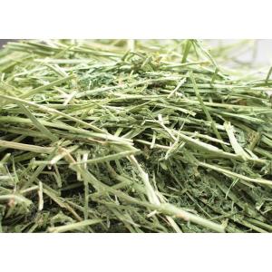 牧草市場 アルファルファ(特選プレミアム)牧草...の詳細画像1