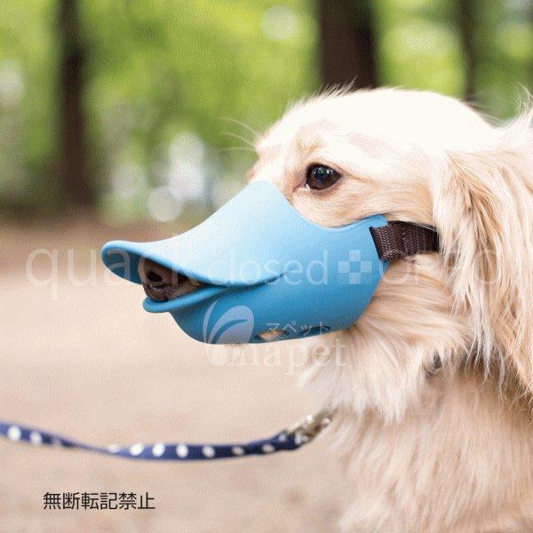 【送料無料】OPPO（オッポ） ｑｕａｃｋｃｌｏｓｅｄ（クァッククローズド） Ｌ ブルー