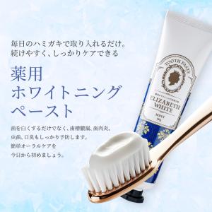 ホワイトニング 歯磨き粉 日本製 歯 白 歯磨...の詳細画像2