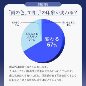 ホワイトニング 歯磨き粉 日本製 歯 白 歯磨...の詳細画像4