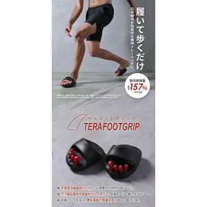 テラフットグリップ TERAFOOTGRIP ...の詳細画像1