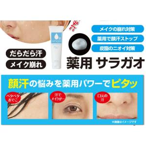 メール便 制汗クリーム 薬用サラガオ 医薬部外...の詳細画像1