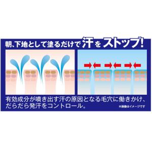 メール便 制汗クリーム 薬用サラガオ 医薬部外...の詳細画像2