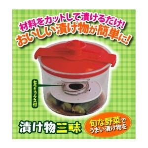 漬物容器 漬け物三昧ざんまい 漬け器 漬物ポット つけもの 浅漬け 早漬け 漬け名人に