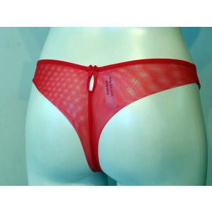 LISE CHARMEL（リズシャルメル）SPLENDEUR SOIE（シルクの輝き）タンガ