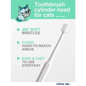 猫口ケア 歯ブラシ シリンダーヘッド (1)の詳細画像1