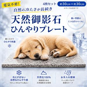 純アルミ製ひんやりプレート SS : PEPPY ペピイ Yahoo!店 - 通販
