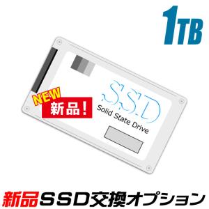 新品SSD 1TB(1000GB) 新品ストレージ交換サービス まーぶるPCの中古パソコンご購入時オプション｜marblepc