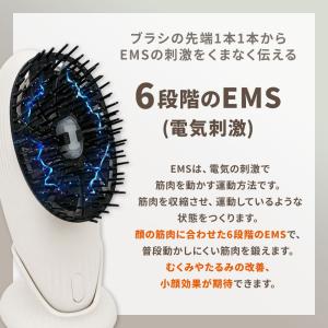 【限定5,000円クーポン】クルールラボ LI...の詳細画像4